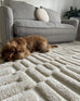 Leneisy Ivory Abstract Rug