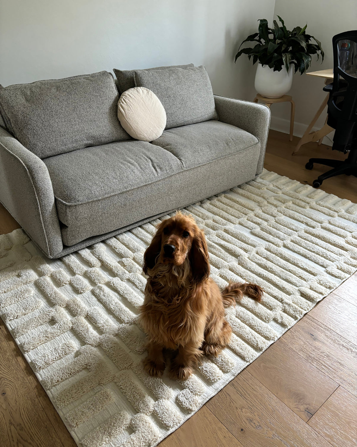 Lenny Rug Leneisy Ivory Abstract Rug