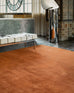 Lupe Terracotta Handwoven PET Rug