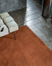 Lupe Terracotta Handwoven PET Rug