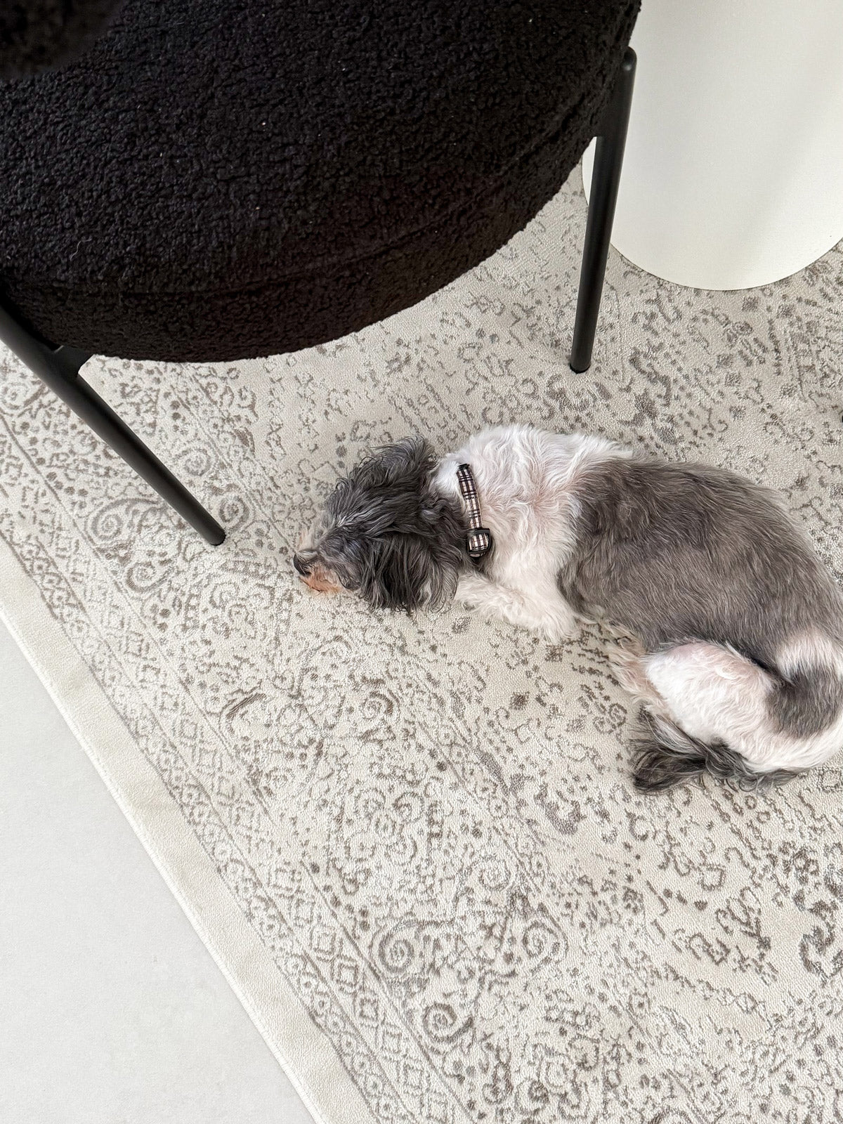 Madison Ivory And Grey Traditional Distressed Rug