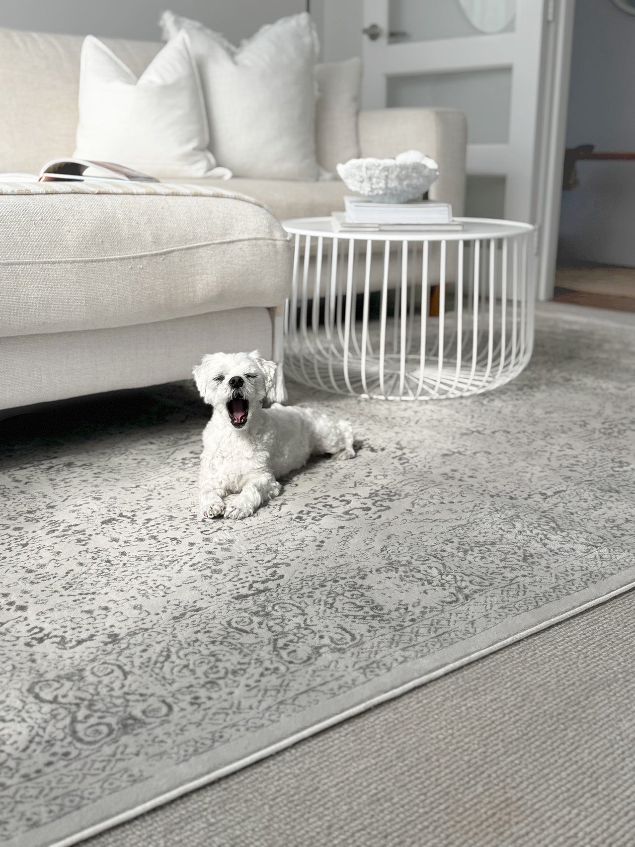 Madison Ivory And Grey Traditional Distressed Rug