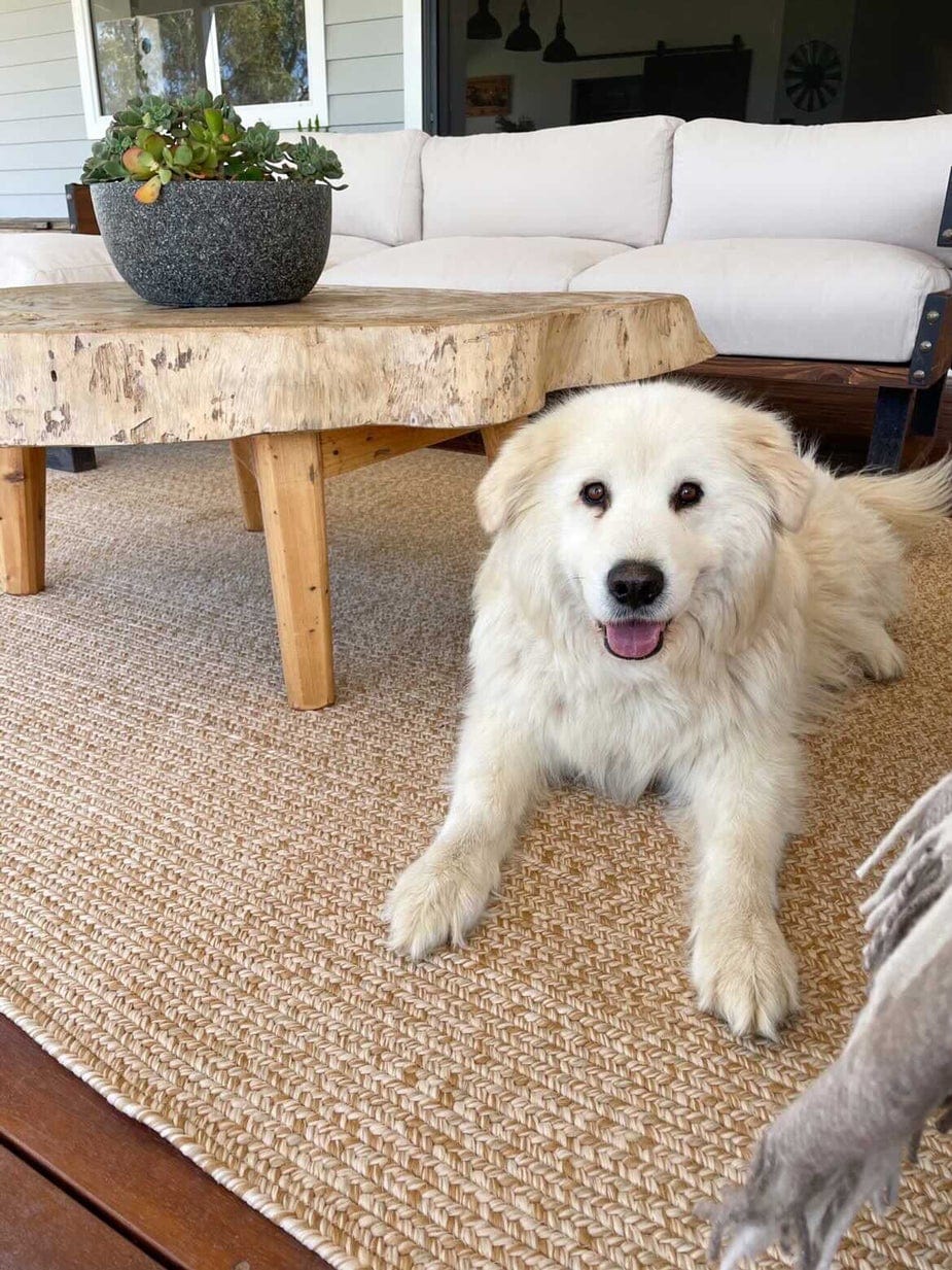 Malia Beige Braided Flatweave Indoor Outdoor Rug