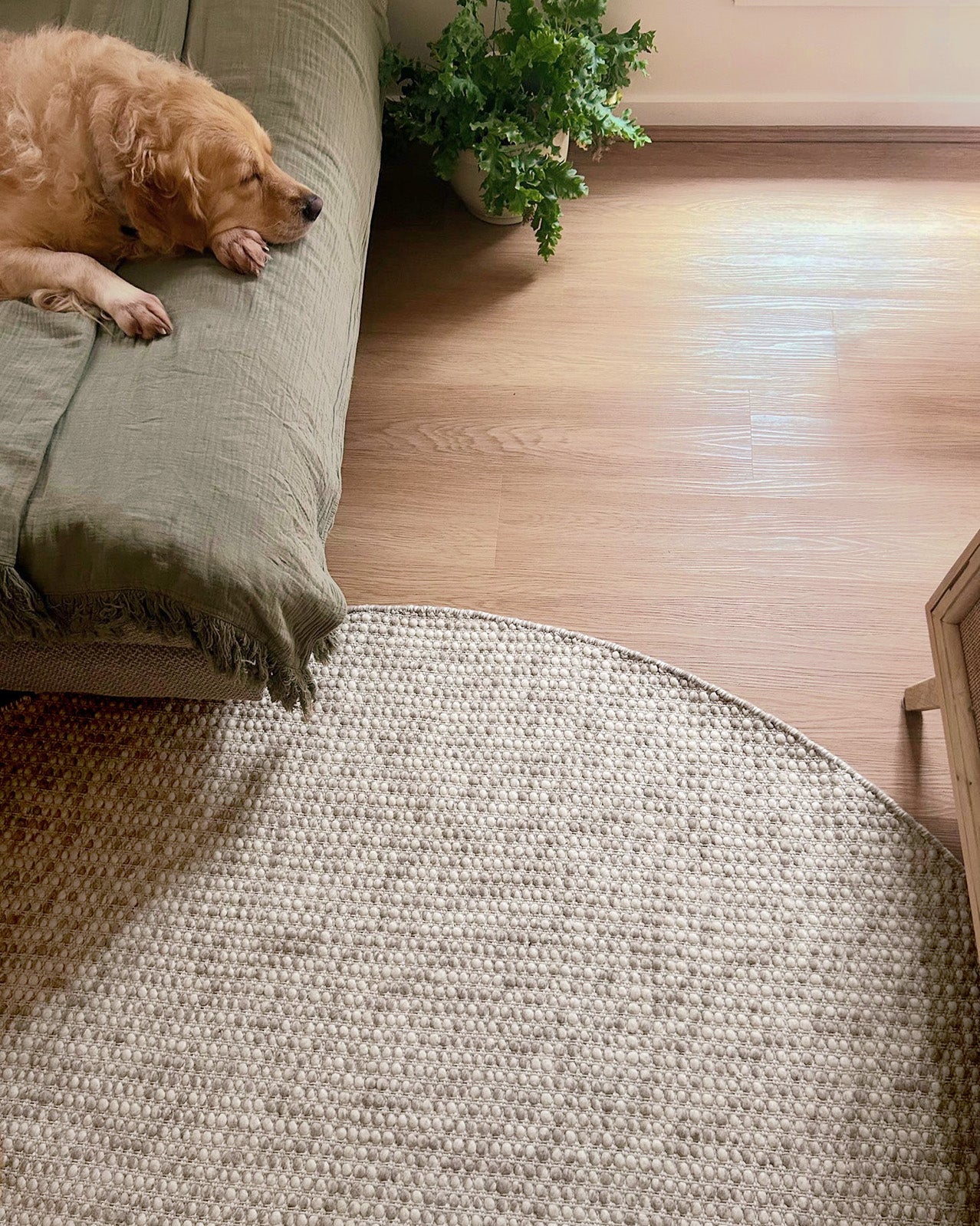 Mallory Marbled Cream and Grey Chunky Wool Round Rug