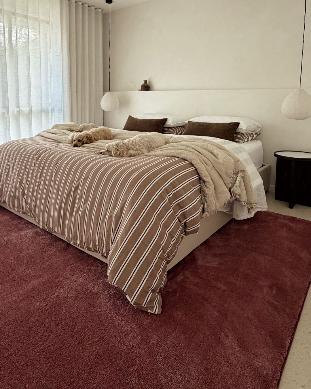 Medora Red Shag Rug