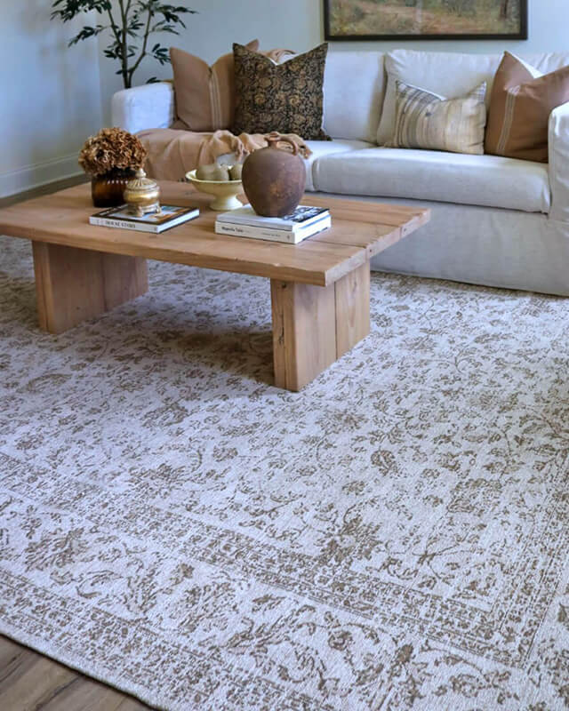 Moselle Beige and Brown Floral Distressed Rug