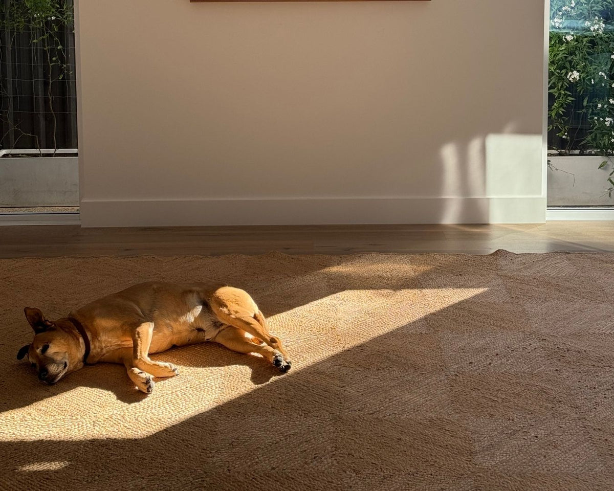 Nashira Natural Brown Diamond Jute Rug