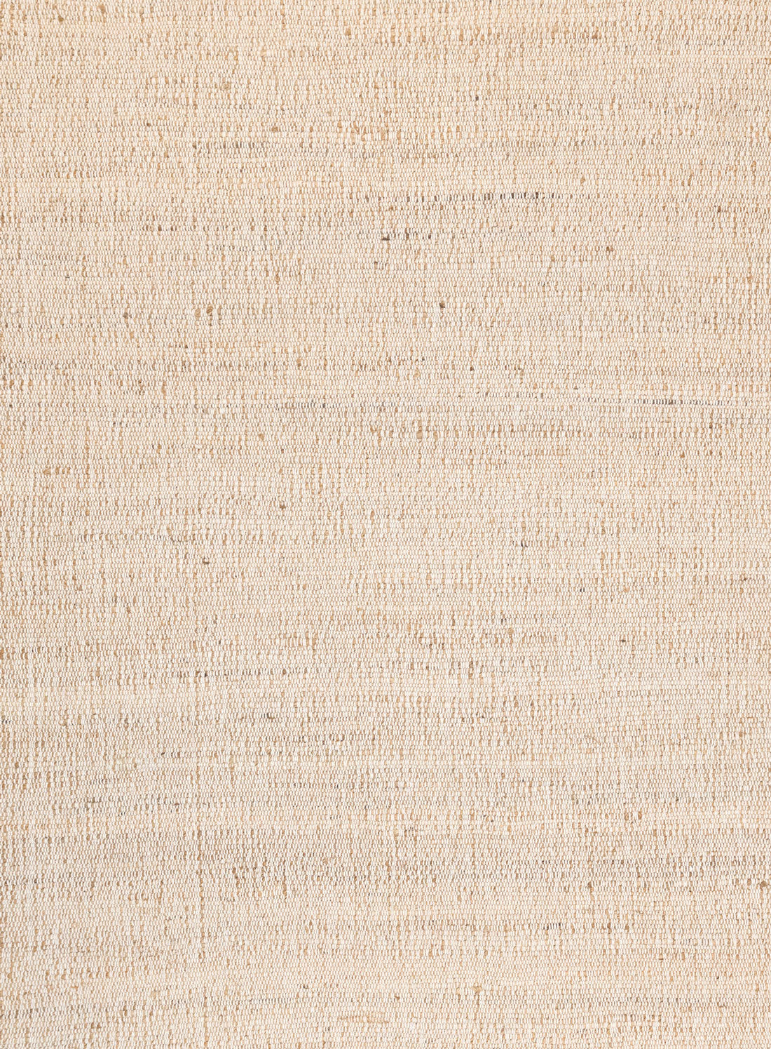 Naveya Natural Flatweave Jute and Cotton Rug
