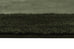 Nuria Dark Green Bordered Shag Rug