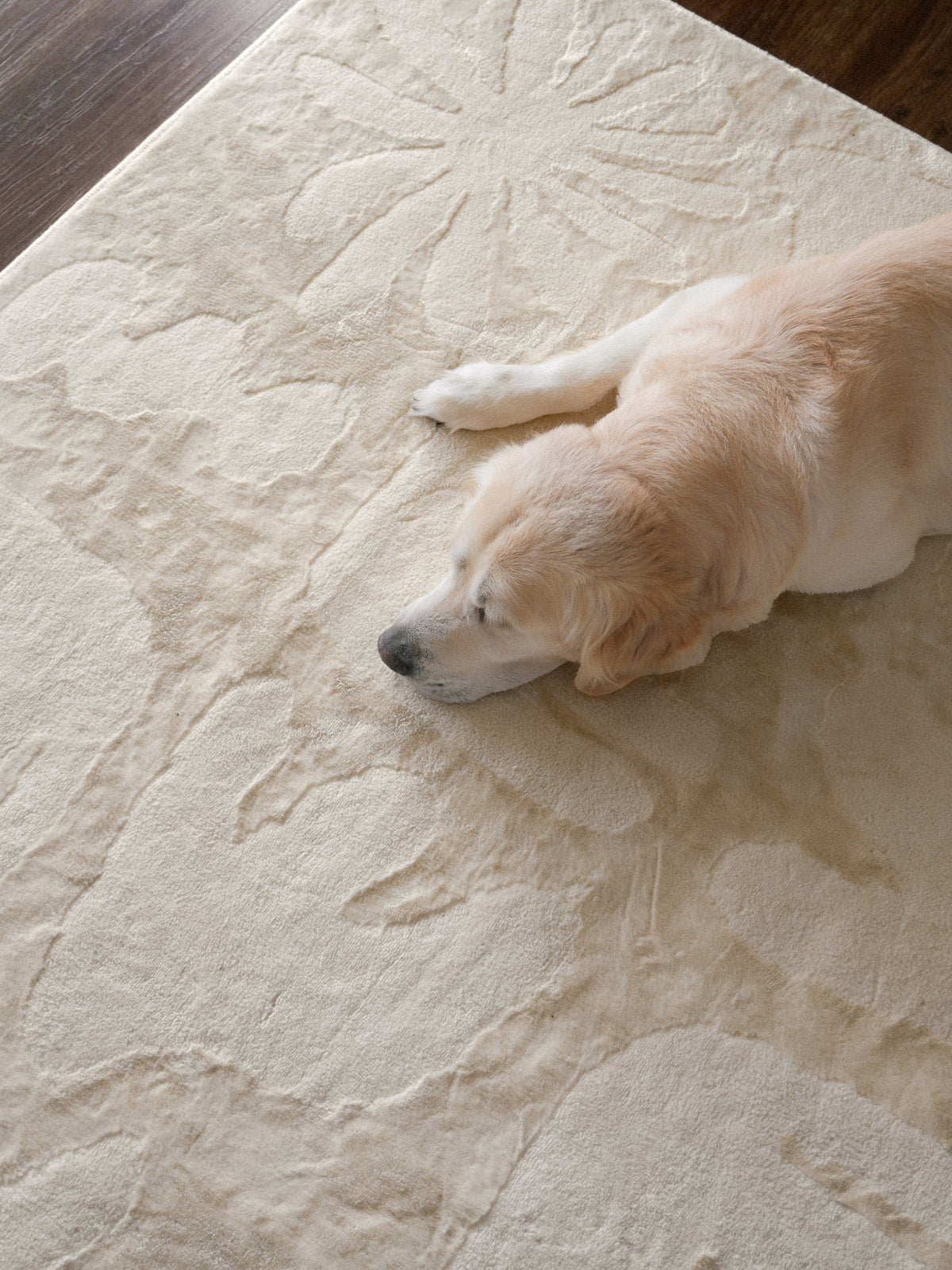 Salah Textured Abstract Neutral Rug