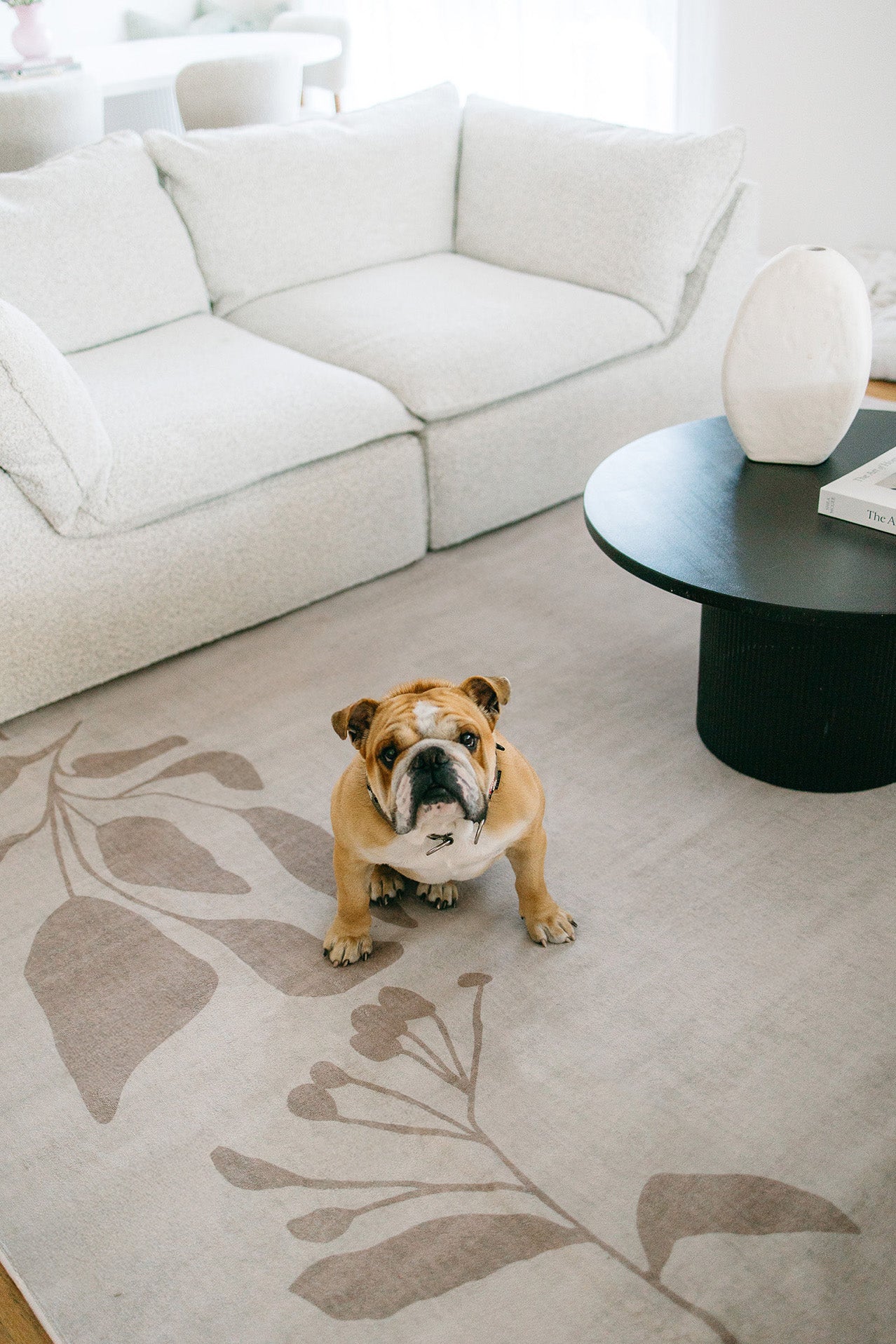 Solange Beige and Brown Botanical Border Washable Rug
