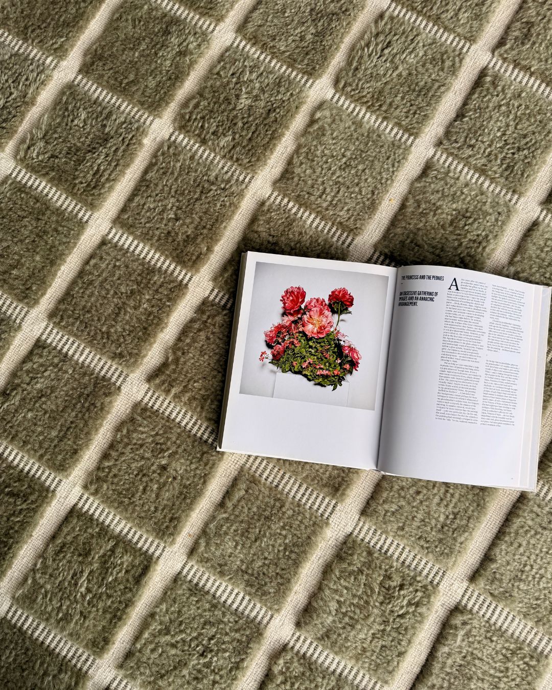Sondra Green Handloom Grid Wool Rug