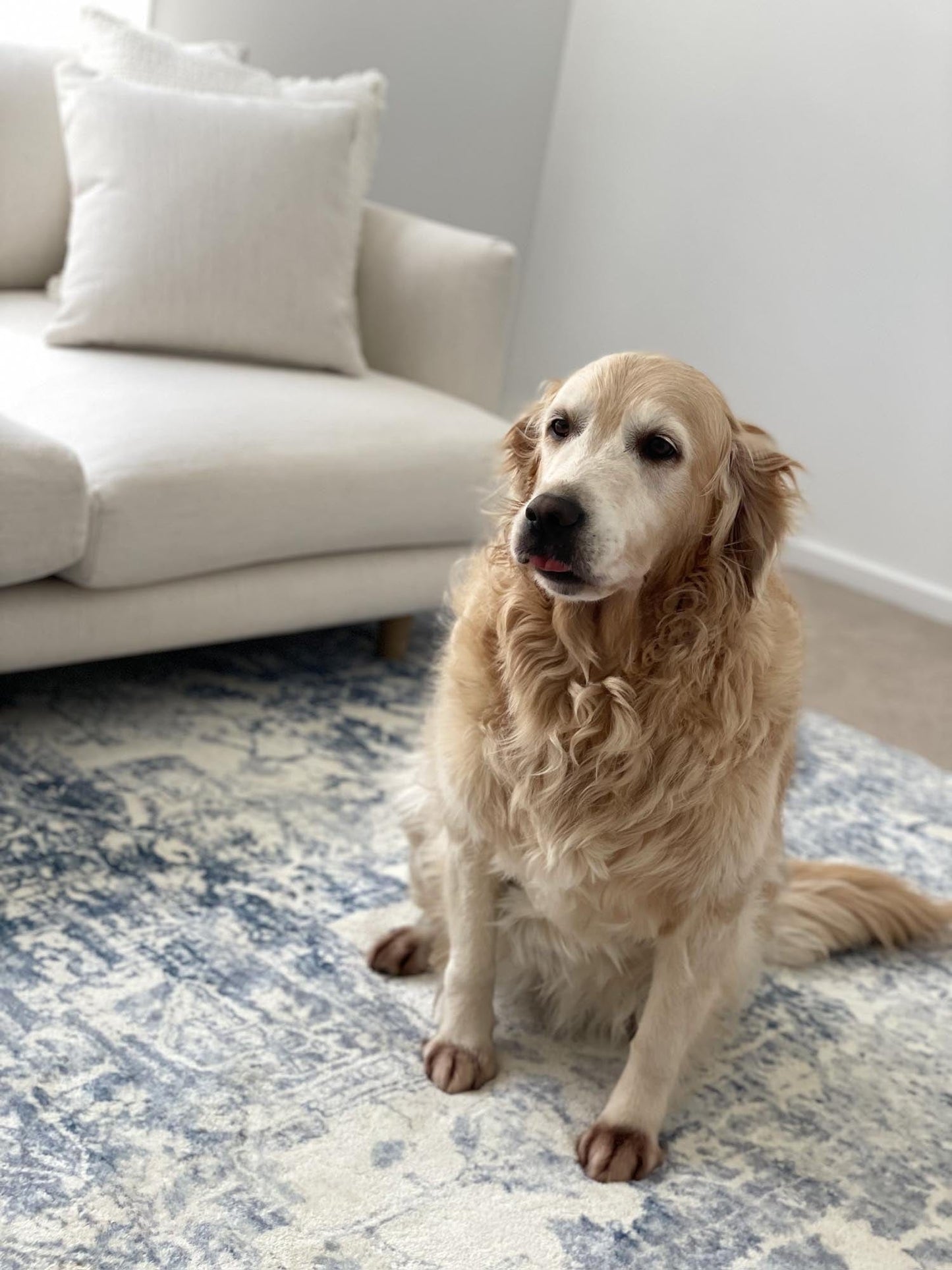 Suri Blue and Grey Distressed Washable Rug