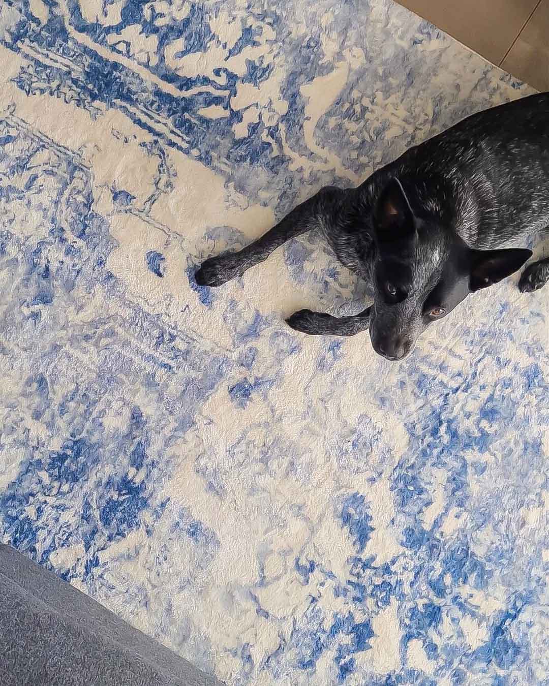 Suri Blue and Grey Distressed Washable Rug