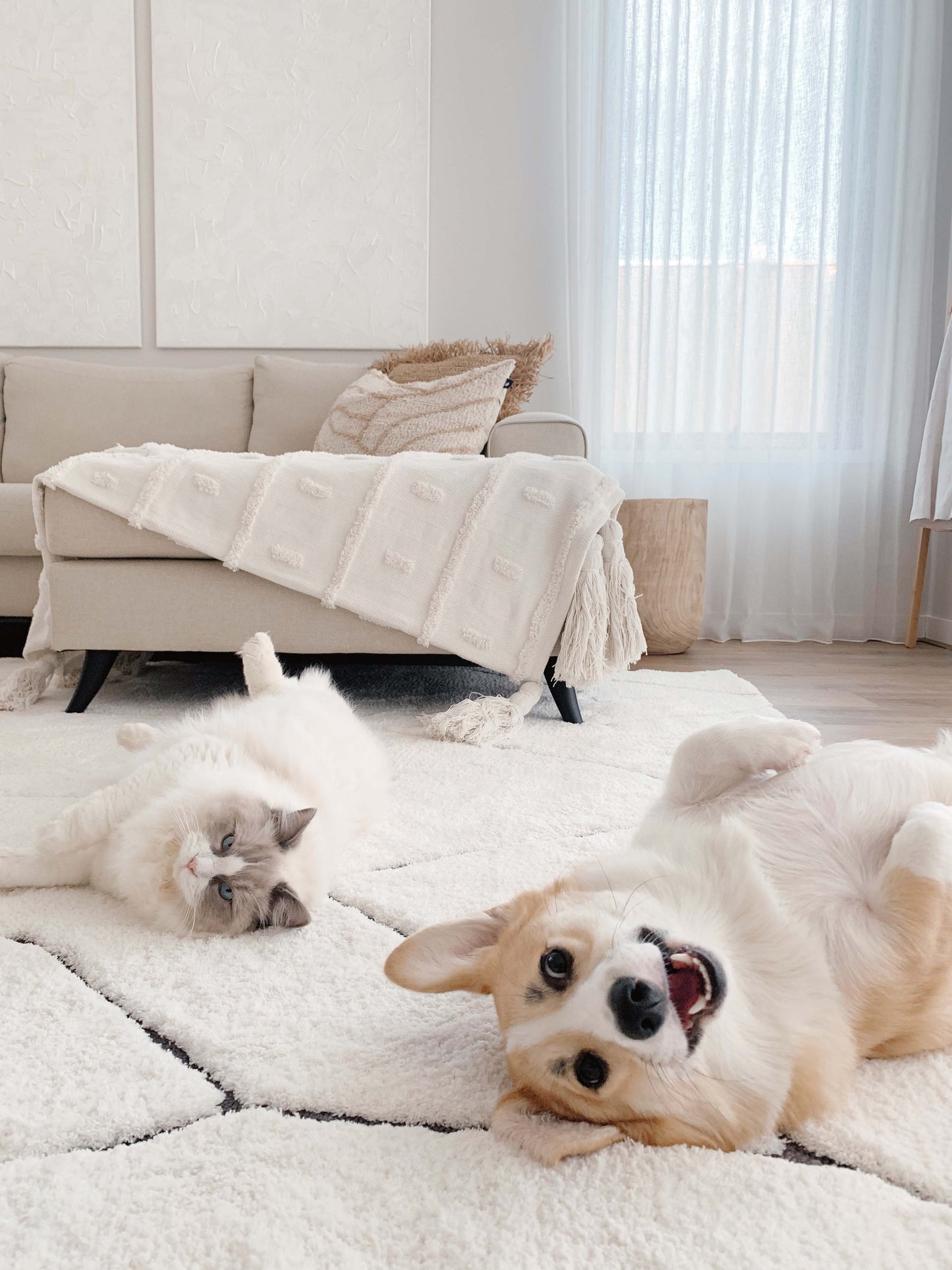 Tahlee Cream and Charcoal Grey Tribal Shag Rug