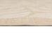 Talari Warm Yellow Botanical Washable Rug