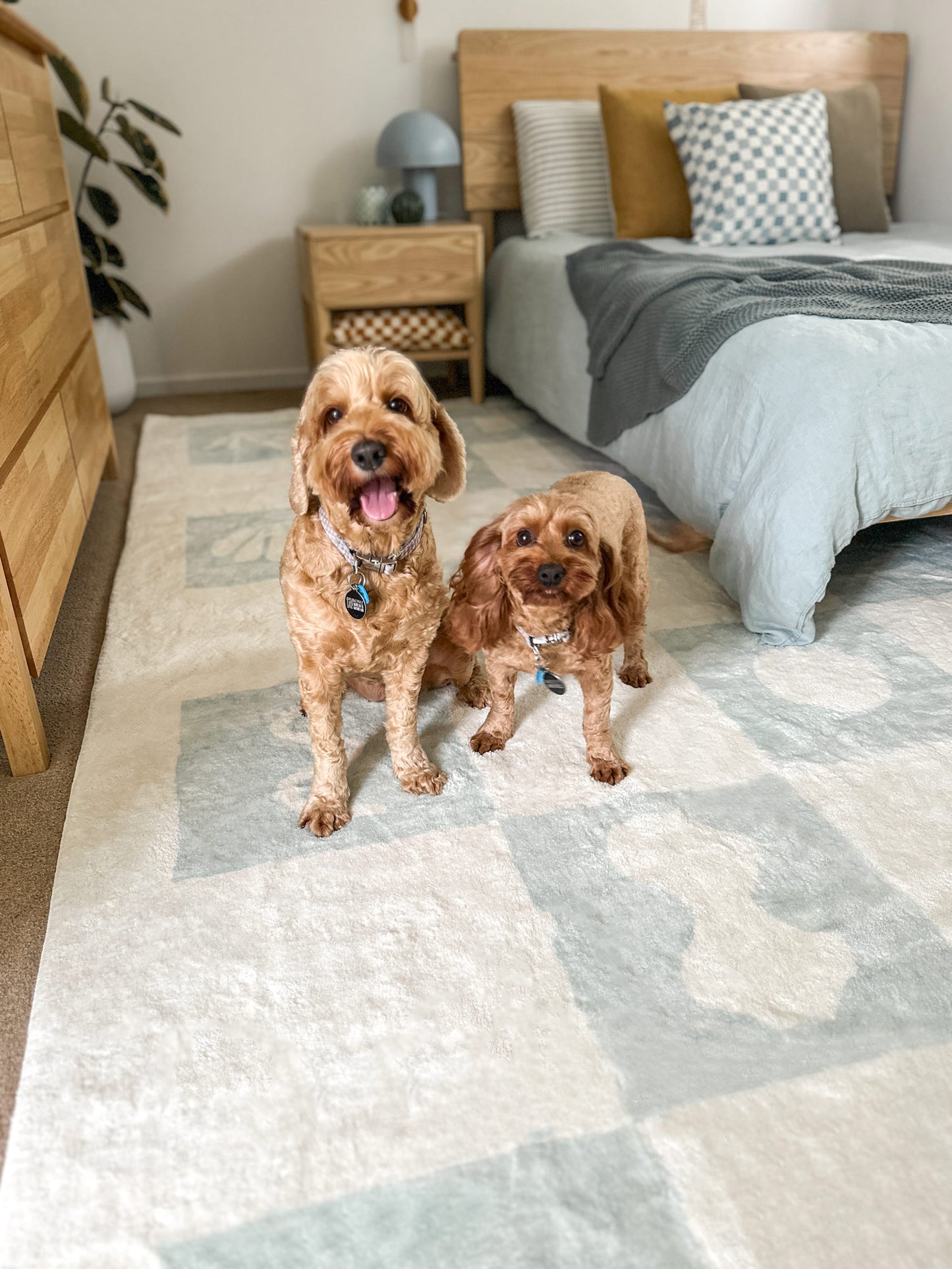 Tara Blue and Cream Checkered Washable Rug