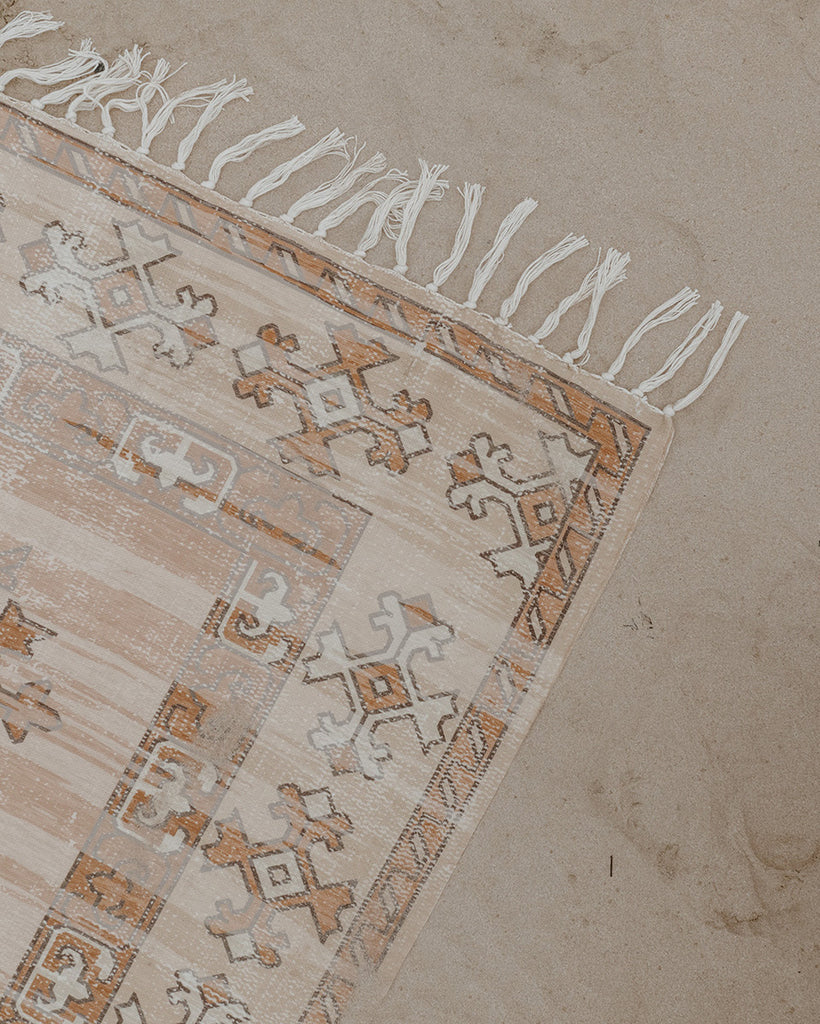 Tiana Brown and Beige Tribal Picnic Rug