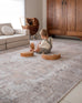 Tinka Beige and Grey Traditional Distressed Washable Rug