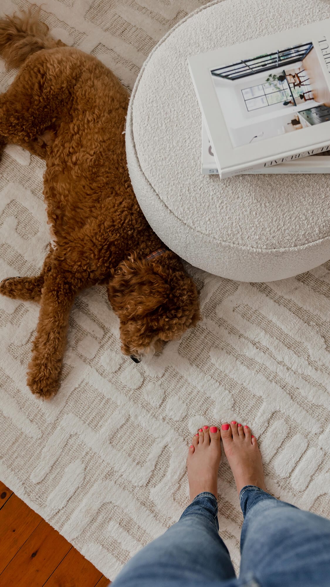 Trissa Beige and Ivory Abstract Tribal Rug