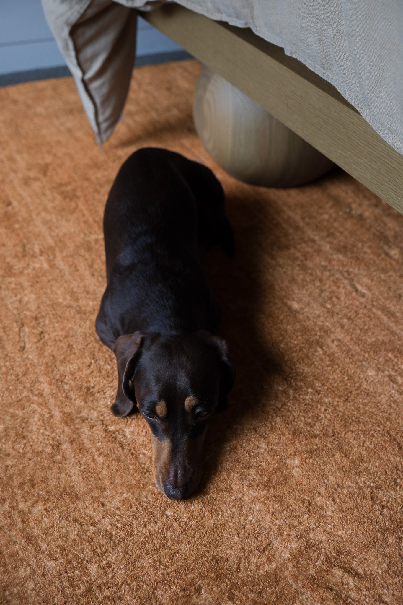 Zoey Caramel Washable Rug